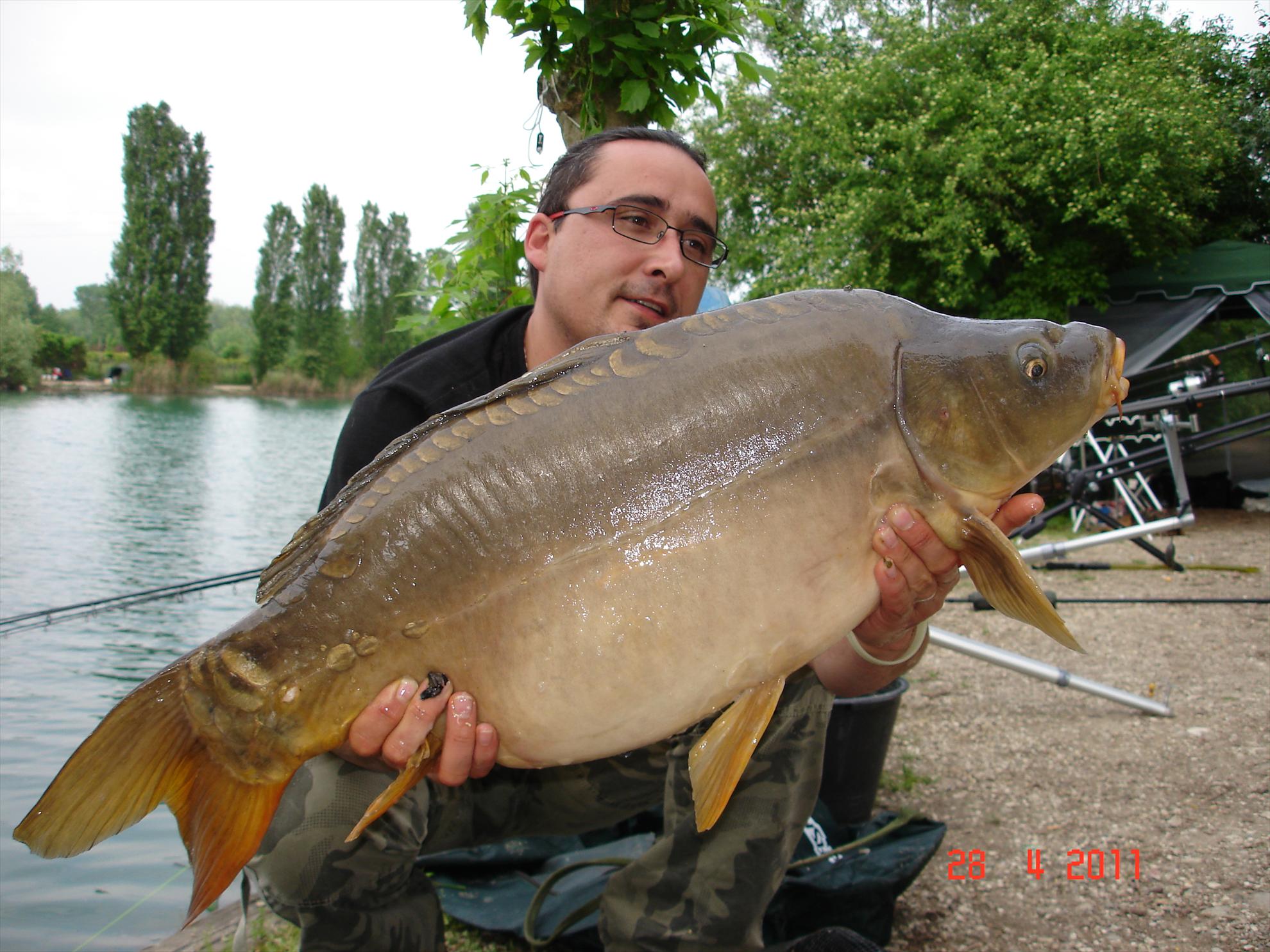 THE BIGS OF 2011 - p1000092.JPG